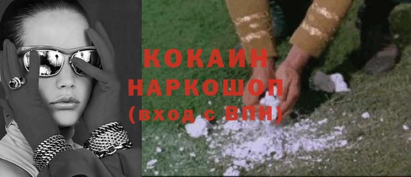сатива Магадан