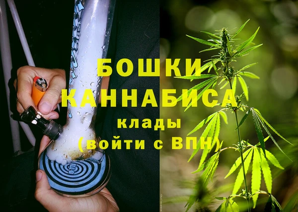 сатива Магадан