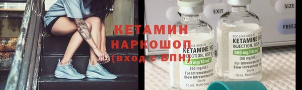 сатива Магадан