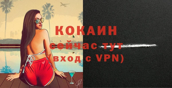 сатива Магадан