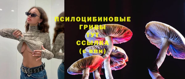 Альфа ПВП Майский