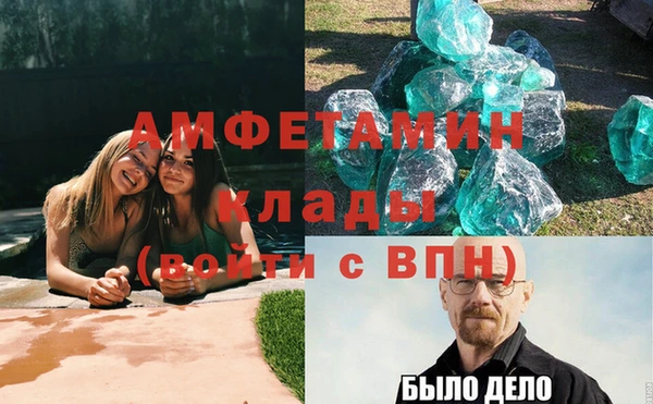шишки Медвежьегорск