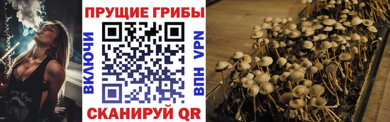 где найти наркотики  Медынь  Галлюциногенные грибы мухоморы 